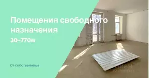 Фото к объявлению #19849428