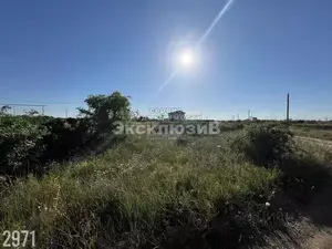 Фото к объявлению #21548743