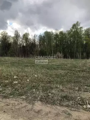 Фото к объявлению #22044761