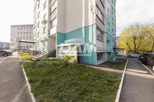 Фото к объявлению #22205376