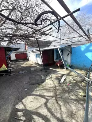 Фото к объявлению #22197898