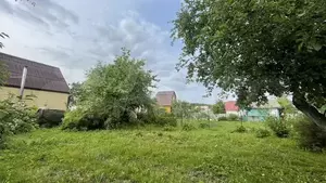 Фото к объявлению #22077290