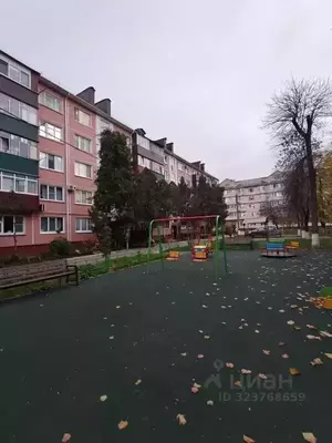 Фото к объявлению #22238645