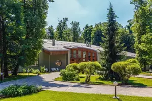 Фото к объявлению #21338419