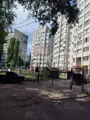 Фото к объявлению #22263769