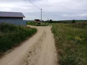 Фото к объявлению #21991054