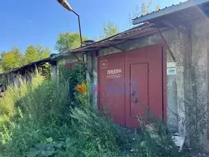 Фото к объявлению #22125194