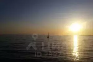 Фото к объявлению #22287296