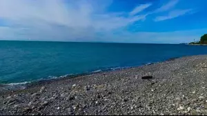 Фото к объявлению #22206349