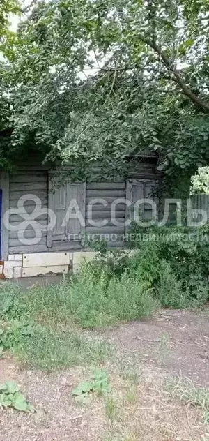 Фото к объявлению #22090672