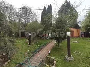 Фото к объявлению #19933572