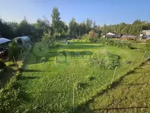 Фото к объявлению #21188911