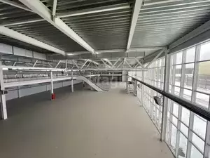 Фото к объявлению #20254375