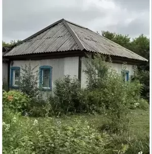 Фото к объявлению #21078427