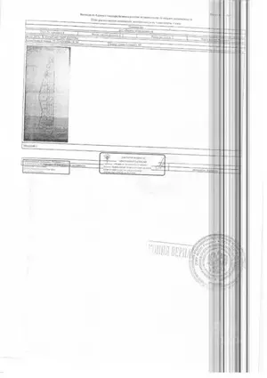 Фото к объявлению #22116799