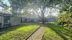 Фото к объявлению #22241859