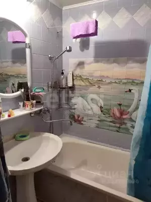 Фото к объявлению #22218856