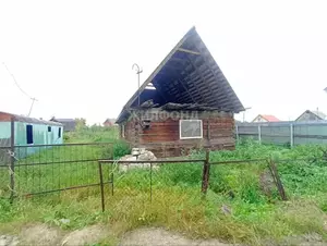 Фото к объявлению #22074363