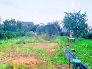 Фото к объявлению #21471757