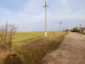 Фото к объявлению #22026845
