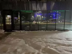 Фото к объявлению #21925366