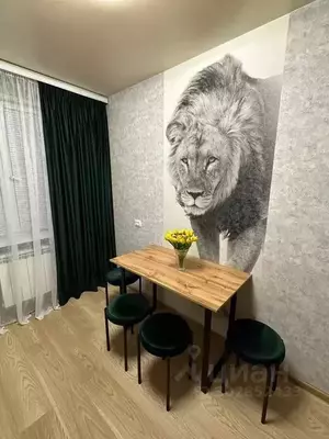 Фото к объявлению #20623368