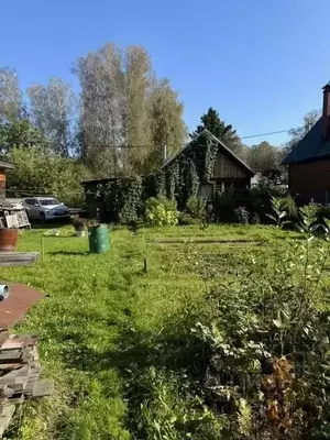 Фото к объявлению #21933325