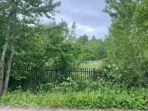 Фото к объявлению #22087413