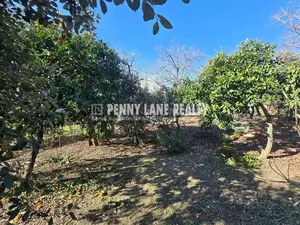 Фото к объявлению #22194545