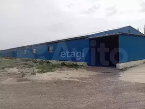 Фото к объявлению #21067677