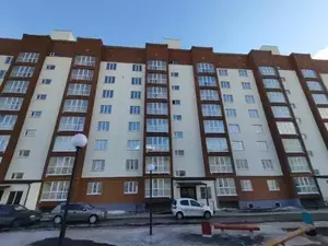 Фото к объявлению #21138293
