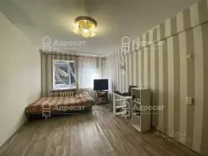 Фото к объявлению #22254675
