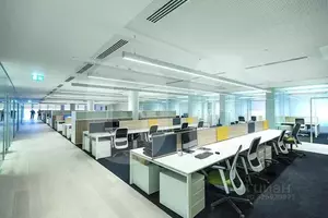 Фото к объявлению #22278518