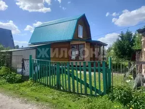 Фото к объявлению #22062032