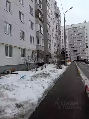 Фото к объявлению #21928644