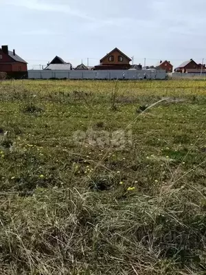 Фото к объявлению #22212750