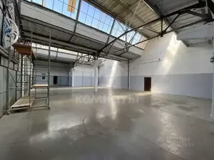 Фото к объявлению #22054768