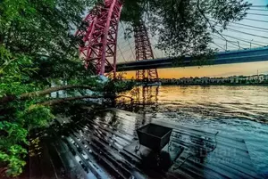 Фото к объявлению #22282575