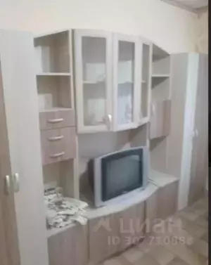 Фото к объявлению #21176370