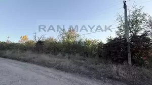 Фото к объявлению #22208806