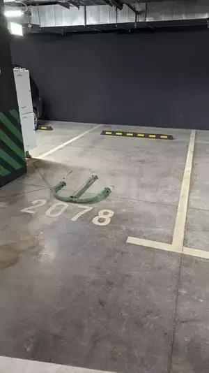 Фото к объявлению #20042202