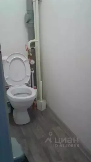 Фото к объявлению #22242933