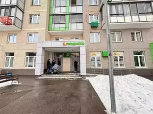 Фото к объявлению #21977502