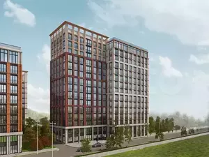 Фото к объявлению #21383048