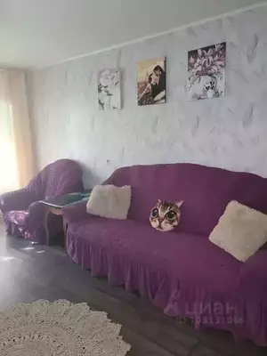 Фото к объявлению #20809894