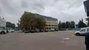 Фото к объявлению #19874471