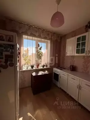 Фото к объявлению #21460018