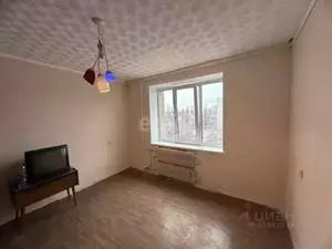 Фото к объявлению #22133696