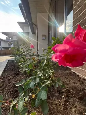 Фото к объявлению #22207441