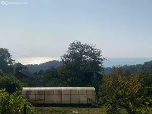 Фото к объявлению #20955892